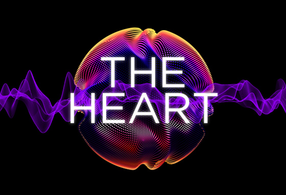 The Heart