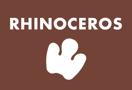 Rhinoceros